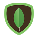 Mongodb