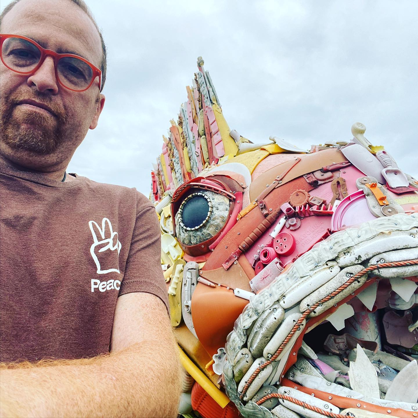 Fishy Friends