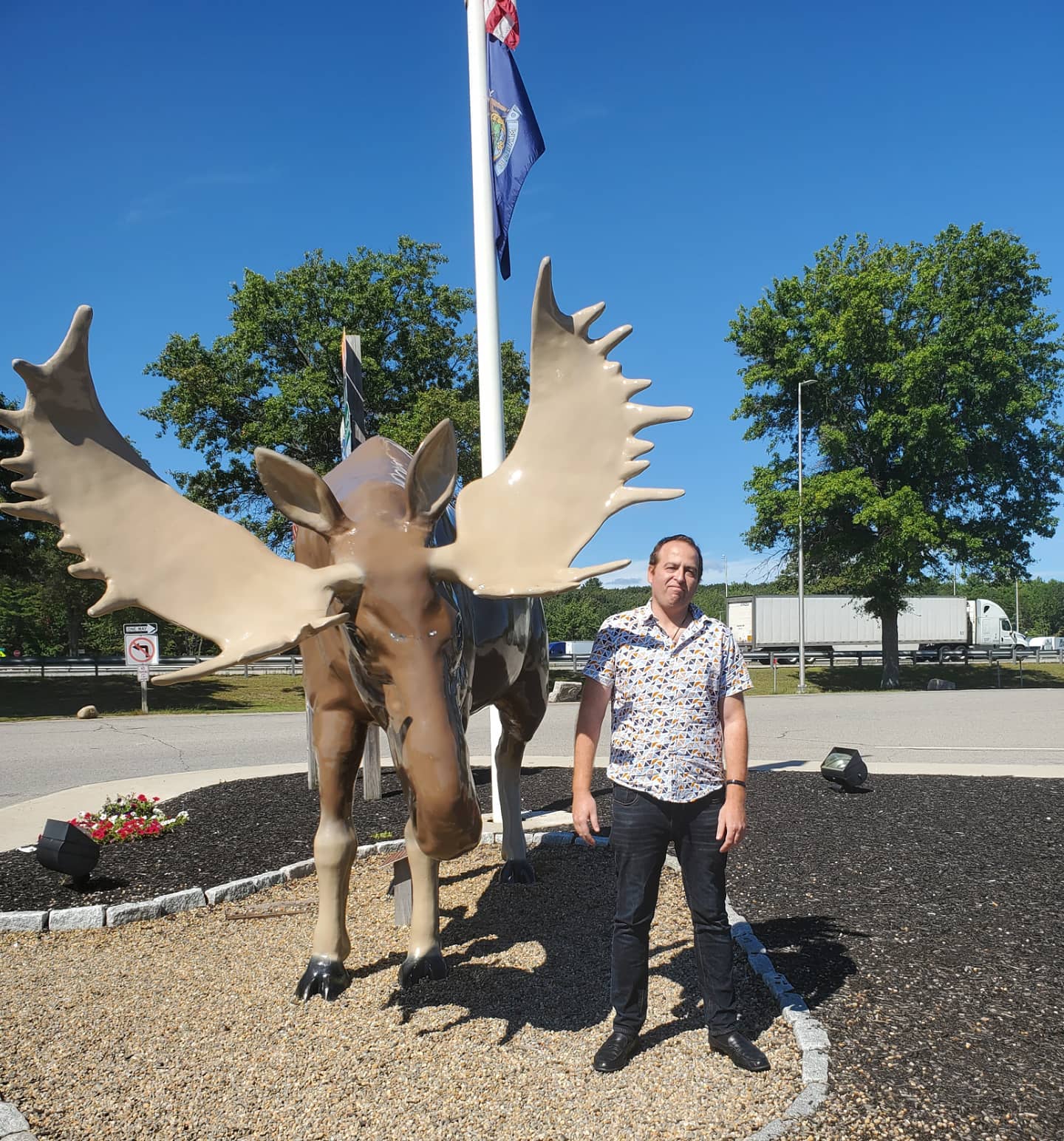 Moose Friends