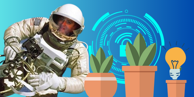 Plant Lessons